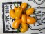 Hot Pepper 'NuMex Pumpkin Spice Jalapeno' Seeds (Certified Organic)