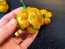 Hot Pepper ‘Mustard Habanero' Seeds (Certified Organic)