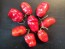 Hot Pepper 'Rocopica' Seeds (Certified Organic)