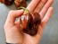 Hot Pepper ‘Trinidad Chocolate Scorpion Cappuccino’ Seeds (Certified Organic)