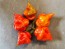 Hot Pepper 'Trinidad 7 Pot Cross’ Seeds (Certified Organic)