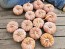 Pumpkin 'Black Futsu' Seeds (Certified Organic)