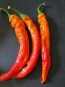 Hot Pepper ‘Jalapeno Chernobyl' Seeds (Certified Organic)