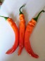 Hot Pepper ‘Jalapeno Chernobyl' Seeds (Certified Organic)