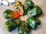Hot Pepper 'Ancho Poblano' Seeds (Certified Organic)