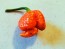 Hot Pepper 'Mustard Moruga Brains x Gator Jigsaw RED CROSS' Seeds (Certified Organic)