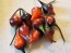 Hot Pepper ‘Biquinho Black' Seeds (Certified Organic)