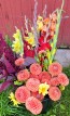 Dahlia 'Cornel Bronze' Tubers - Shipping 2025 Spring - Harvested on our Farm - USDA Certified Organic