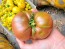 Tomato 'German Black' Seeds (Certified Organic)