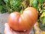 Tomato 'German Black' Seeds (Certified Organic)