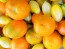 Tomato 'Apricot Zebra' Seeds (Certified Organic)