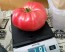 Tomato 'Russian Rose' Seeds (Certified Organic)