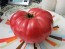 Tomato 'Russian Rose' Seeds (Certified Organic)