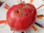 Tomato 'Russian Rose' Seeds (Certified Organic)