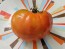 Tomato 'Sunset's Red Horizon' Seeds (Certified Organic)