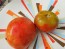 Tomato 'Buckbee's New 50 Day' Seeds (Certified Organic)