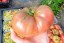 Tomato 'German Black' Seeds (Certified Organic)