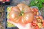 Tomato 'German Black' Seeds (Certified Organic)