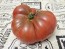 Tomato 'German Black' Seeds (Certified Organic)