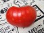 Tomato 'Sunset's Red Horizon' Seeds (Certified Organic)