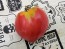 Tomato 'New Zealand Pink Paste' Seeds (Certified Organic)