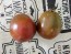 Tomato 'Bedouin' Seeds (Certified Organic)