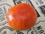 Tomato 'Three Fat Men' Seeds (Certified Organic)