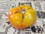 Tomato 'Three Fat Men' Seeds (Certified Organic)