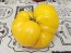 Tomato 'Yellow Flesh Red Interior" Seeds (Certified Organic)