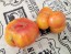 Tomato 'Yellow Flesh Red Interior" (Red Variant) Seeds (Certified Organic)