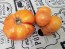 Tomato 'Yellow Flesh Red Interior" (Red Variant) Seeds (Certified Organic)