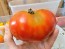 Tomato 'Buckbee's New 50 Day' Seeds (Certified Organic)
