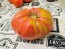 Tomato 'Mrs. Maxwell's Big Italian' Seeds (Certified Organic)