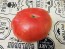 Tomato 'Mrs. Maxwell's Big Italian' Seeds (Certified Organic)