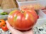 Tomato 'Mrs. Maxwell's Big Italian' Seeds (Certified Organic)