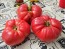 Tomato 'Russian Rose' Seeds (Certified Organic)