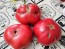 Tomato 'Russian Rose' Seeds (Certified Organic)