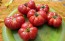 Tomato 'Mandarina Red' Seeds (Certified Organic)