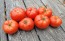 Tomato 'Cosmonaut Volkov' Seeds (Certified Organic)