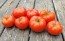 Tomato 'Cosmonaut Volkov' Seeds (Certified Organic)