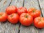 Tomato 'Cosmonaut Volkov' Seeds (Certified Organic)