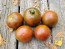 Tomato 'Brazilian Beauty' Seeds (Certified Organic)