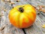 Tomato 'Three Fat Men' Seeds (Certified Organic)