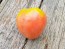 Tomato 'Gemini' Seeds (Certified Organic)