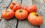 Tomato 'Guido' Seeds (Certified Organic)