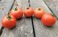 Tomato 'Illini Star' Seeds (Certified Organic)