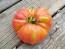 Tomato 'Mrs. Maxwell's Big Italian' Seeds (Certified Organic)