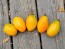 Tomato 'Orange Roma' Seeds (Certified Organic)