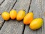 Tomato 'Orange Roma' Seeds (Certified Organic)