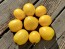 Tomato 'New Moon' Seeds (Certified Organic)